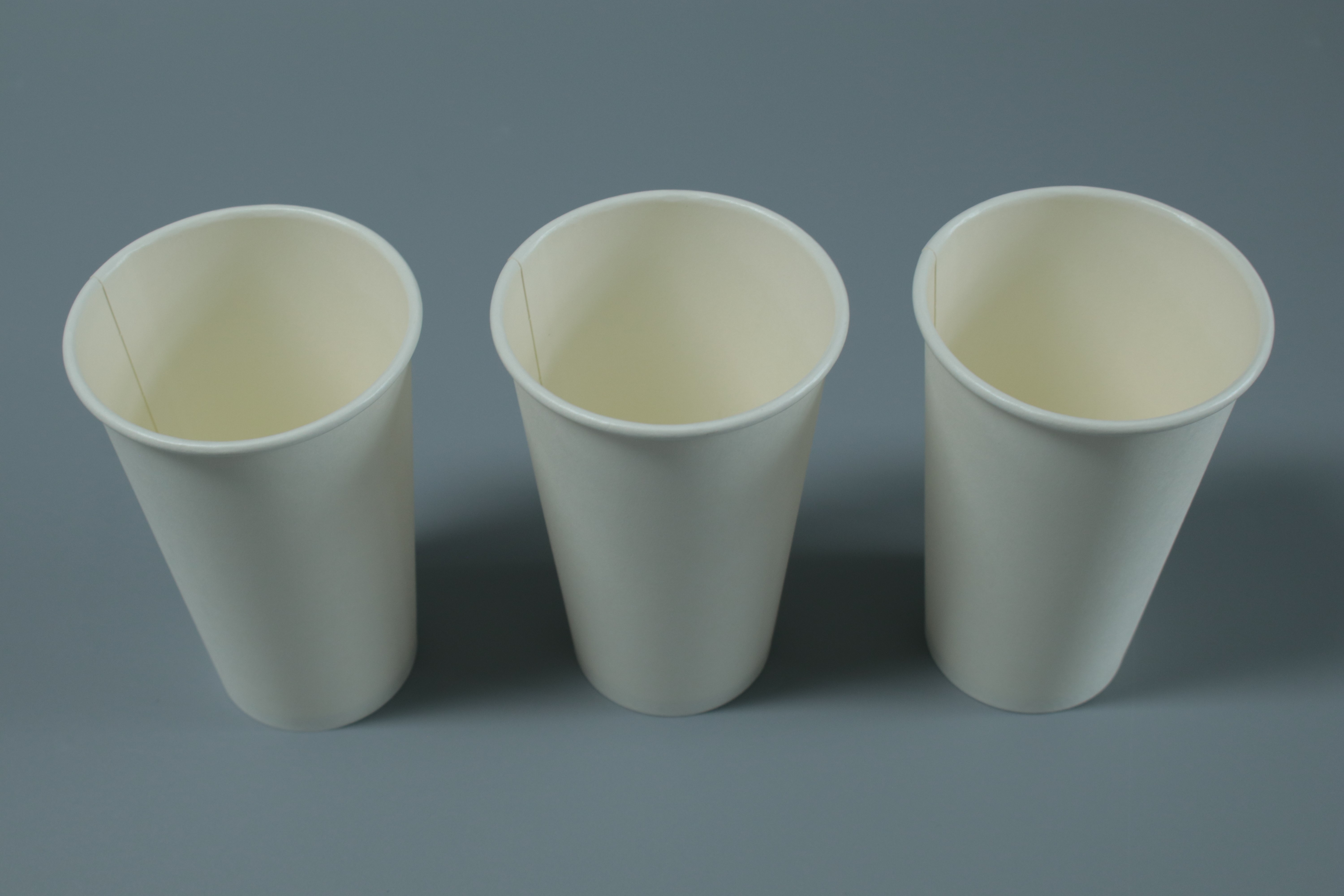 Disposable Biodegradable Cupcake Carton 8 12 24oz Hot Insulated Coffee Paper Cup With Lid