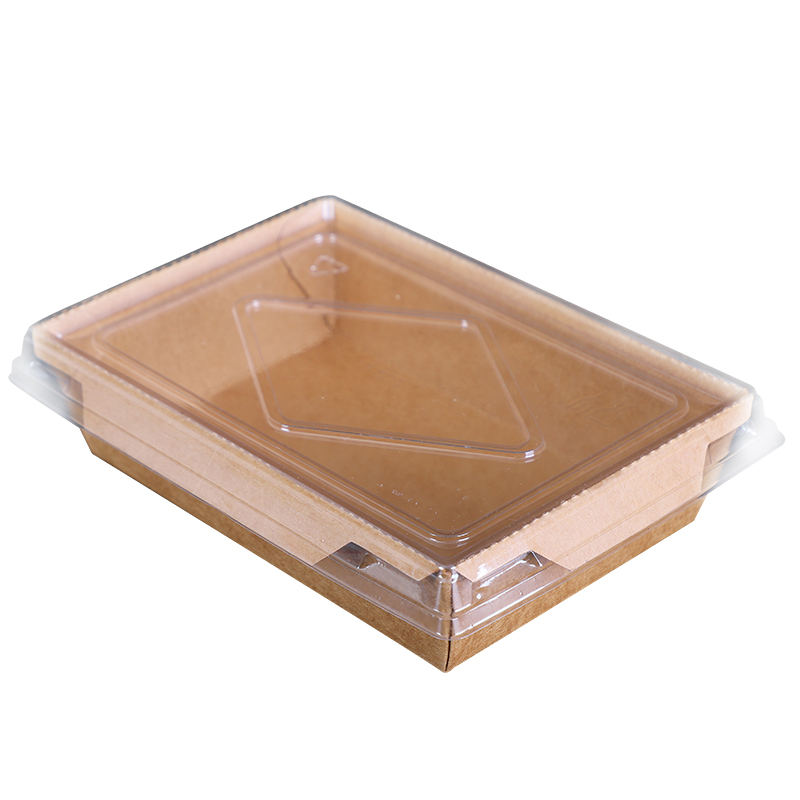 PET Lids-Rectangle Salad Boxes