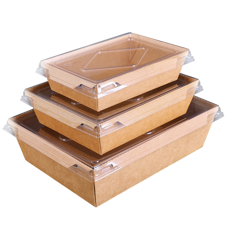 Rectangle Salad Boxes